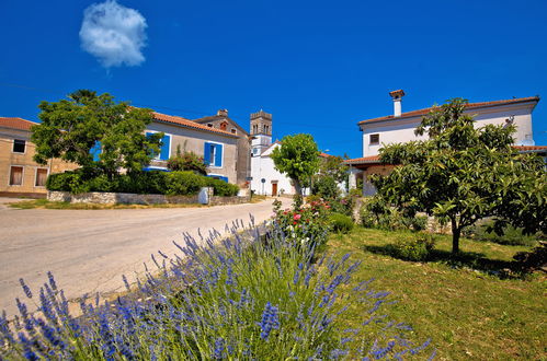 Foto 38 - Casa con 6 camere da letto a Brtonigla con piscina privata e giardino