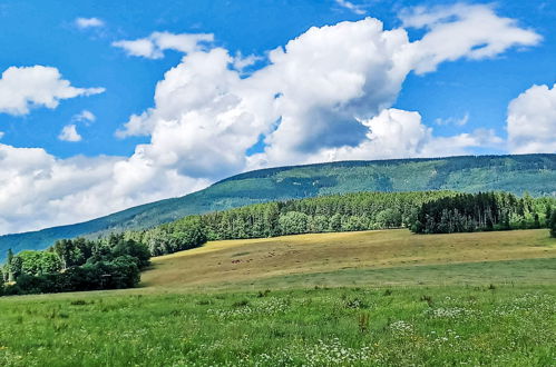 Foto 43 - Haus mit 9 Schlafzimmern in Černý Důl mit blick auf die berge