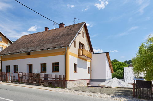 Foto 25 - Haus mit 9 Schlafzimmern in Černý Důl mit garten