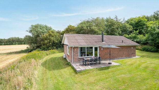 Casa de 3 quartos em Roslev com terraço - Foto 3