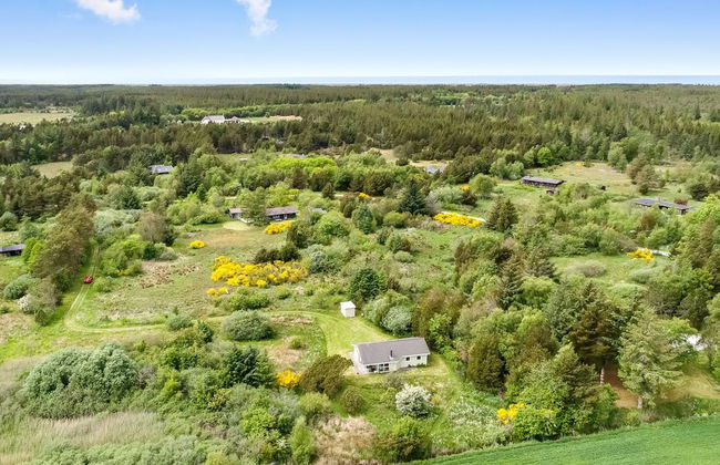 Haus mit 3 Schlafzimmern in Frøstrup mit terrasse - Foto 6