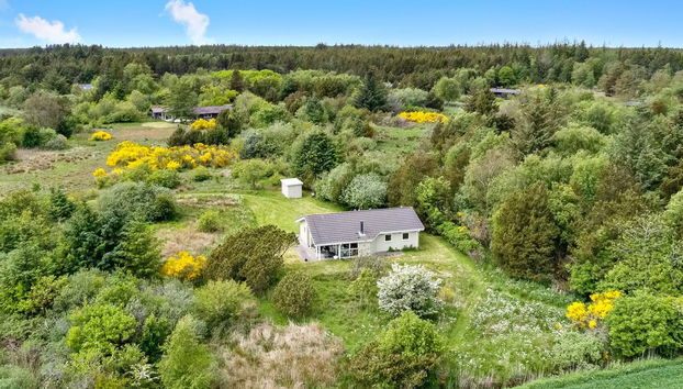 Haus mit 3 Schlafzimmern in Frøstrup mit terrasse - Foto 5