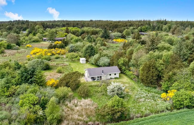 Haus mit 3 Schlafzimmern in Frøstrup mit terrasse - Foto 5