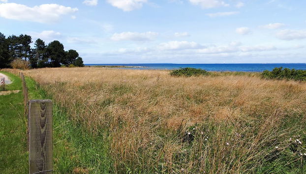 Haus mit 2 Schlafzimmern in Gørlev mit terrasse - Foto 5