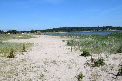 Foto 25 - Casa con 3 camere da letto a Diernæs Strand con terrazza