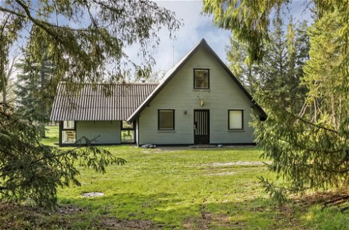 Foto 38 - Casa de 3 habitaciones en Skjern