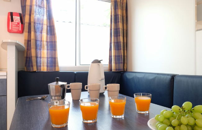 Maison de 4 chambres à Bibbona avec piscine et jardin - Photo 7