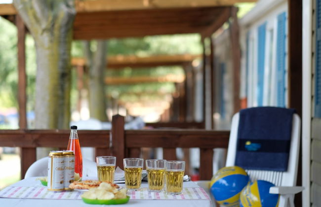 Maison de 4 chambres à Bibbona avec piscine et jardin - Photo 17