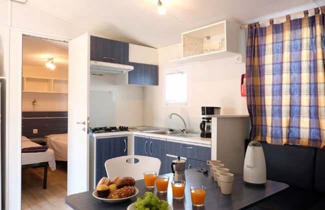 Maison de 4 chambres à Bibbona avec piscine et jardin - Photo 6