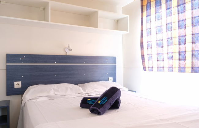 Maison de 4 chambres à Bibbona avec piscine et jardin - Photo 11