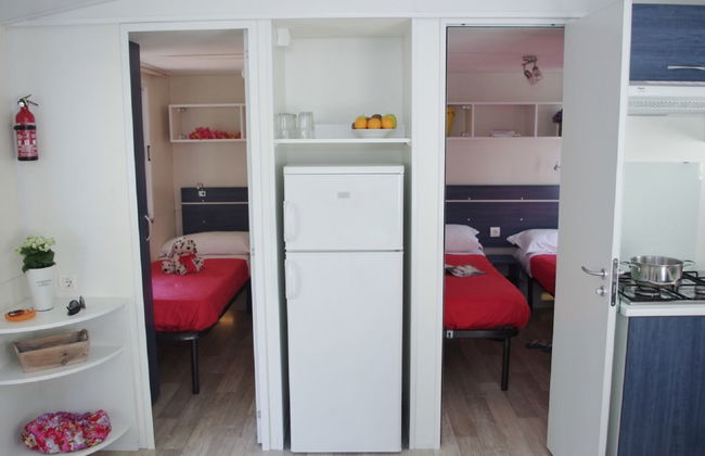 Maison de 4 chambres à Bibbona avec piscine et jardin - Photo 8