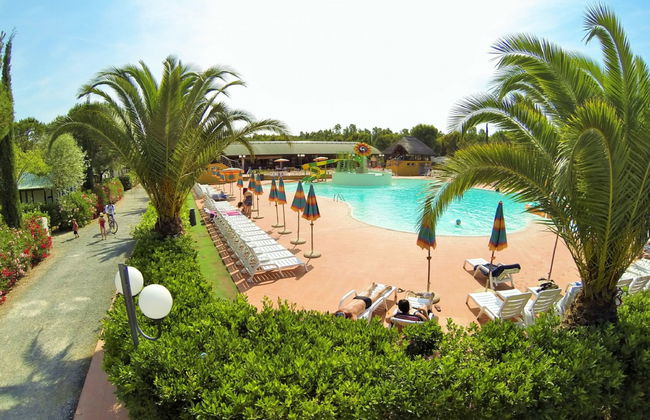 Maison de 4 chambres à Bibbona avec piscine et jardin - Photo 19