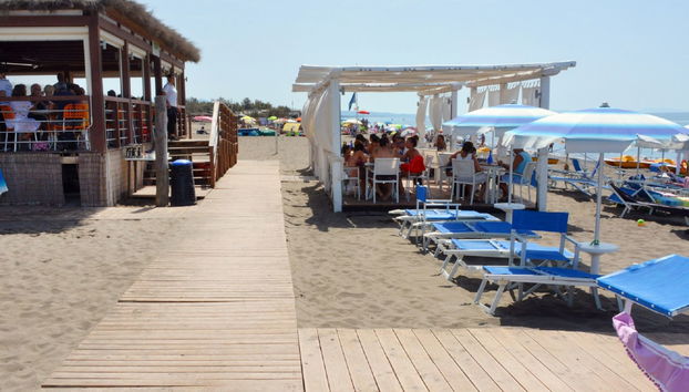 Maison de 4 chambres à Bibbona avec piscine et jardin - Photo 4