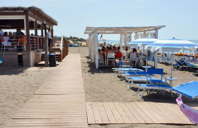 Maison de 4 chambres à Bibbona avec piscine et jardin - Photo 4