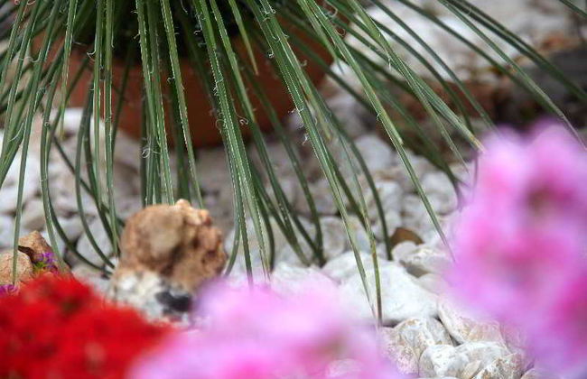 Marietta Hotel & Apartments - Foto 10