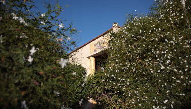 Marietta Hotel & Apartments - Photo 2