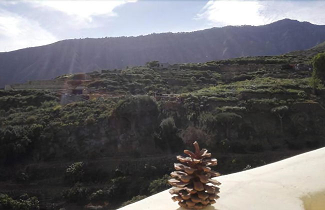 Finca la Raya - Foto 70