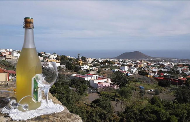 Finca la Raya - Foto 15