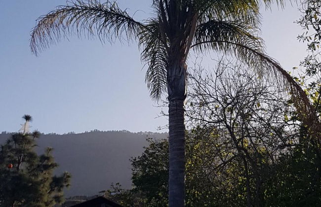 Finca la Raya - Foto 10