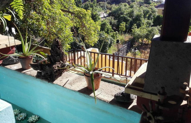 Finca la Raya - Foto 6