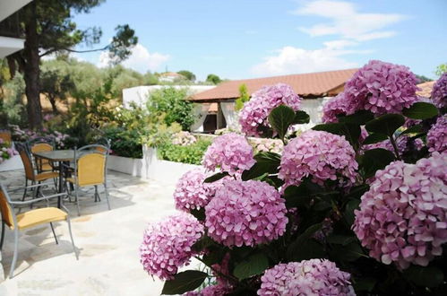 Foto 60 - Skiathos Island Suites