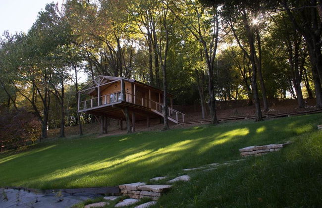 Country House Barone d'Asolo - Photo 34