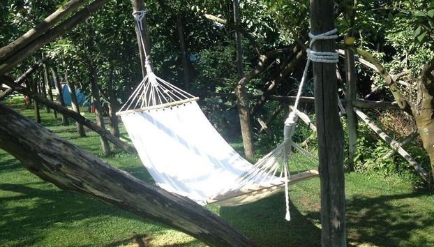 Agriturismo Il Convento - Foto 4