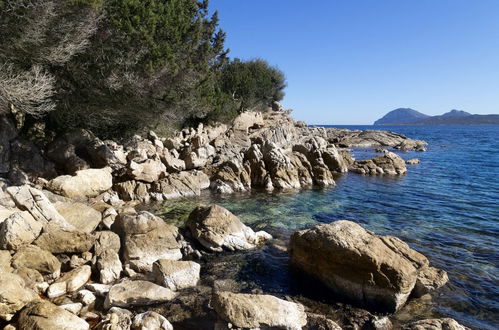 Foto 23 - Appartamento con 2 camere da letto a Olbia con piscina e vista mare