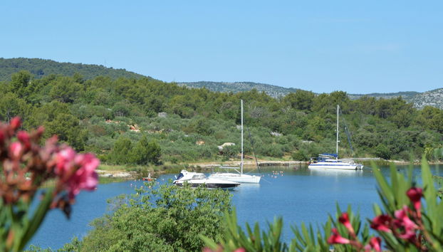 Haus mit 3 Schlafzimmern in Bilice mit privater pool und garten - Foto 3
