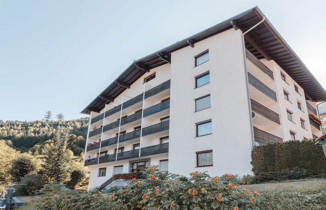 Apartamento de 2 quartos em Bad Gastein com jardim - Foto 29