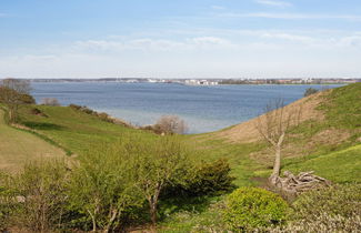 Photo 3 - 2 bedroom House in Middelfart with terrace