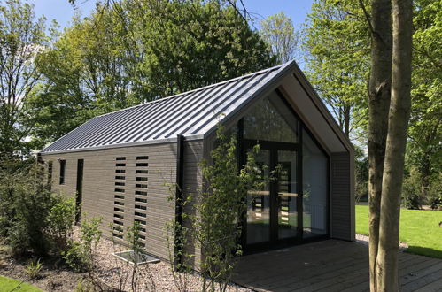 Photo 8 - Maison de 2 chambres à Hulshorst avec piscine et terrasse