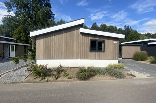 Foto 5 - Casa de 3 quartos em Biddinghuizen com piscina e terraço