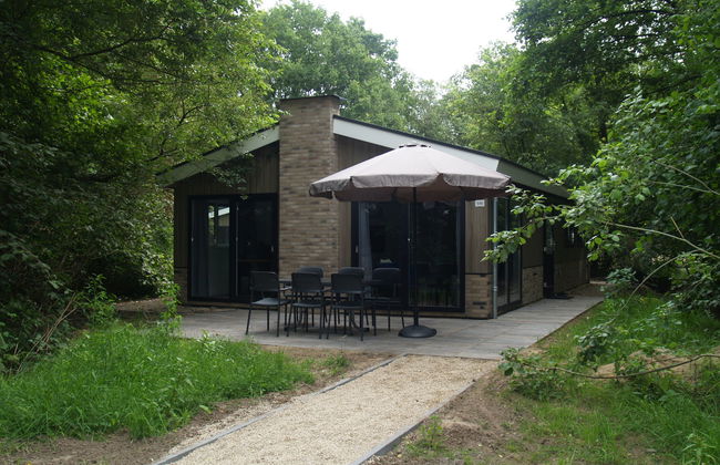 Casa de 4 quartos em Ruinen com piscina e terraço - Foto 14