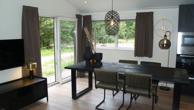 Casa con 4 camere da letto a Ruinen con piscina e terrazza - Foto 4
