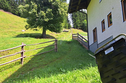 Foto 12 - Appartamento con 2 camere da letto a Filzmoos con giardino e vista sulle montagne