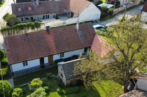 Photo 25 - 1 bedroom House in Praskolesy with garden