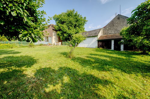 Photo 18 - Maison de 1 chambre à Praskolesy avec jardin