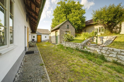 Photo 16 - Maison de 1 chambre à Praskolesy avec jardin