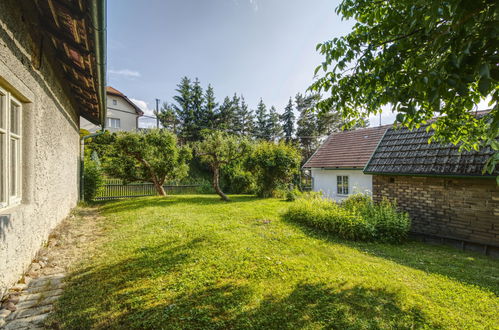 Photo 20 - Maison de 1 chambre à Praskolesy avec jardin