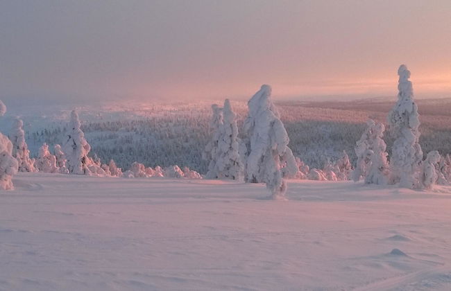 Casa de 3 quartos em Inari - Foto 19