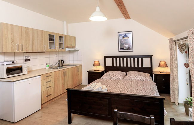 Apartamento de 1 quarto em Arnoltice com jardim e terraço - Foto 1