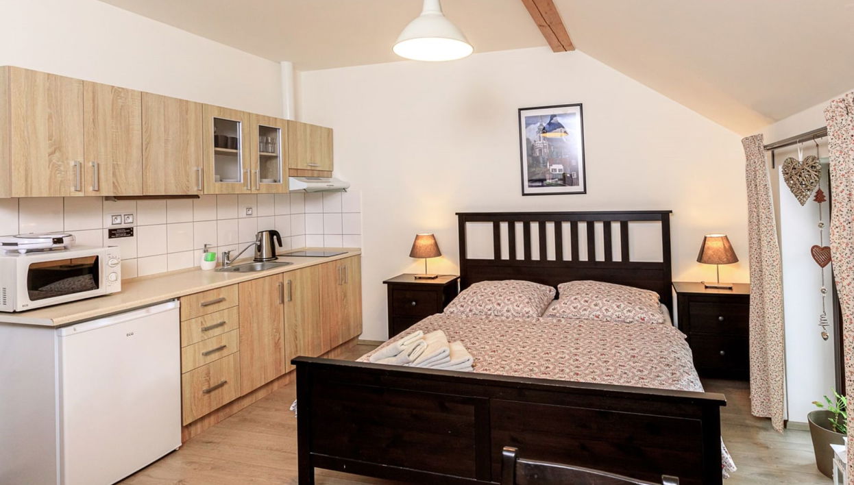 Apartamento de 1 quarto em Arnoltice com jardim e terraço - Foto 1