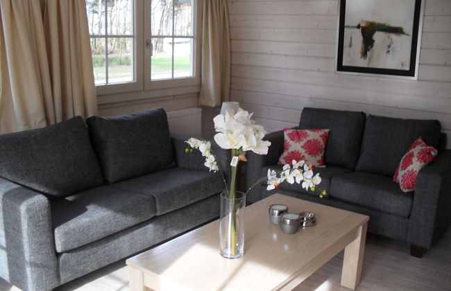 Casa de 3 quartos em Belfeld com piscina e terraço - Foto 8