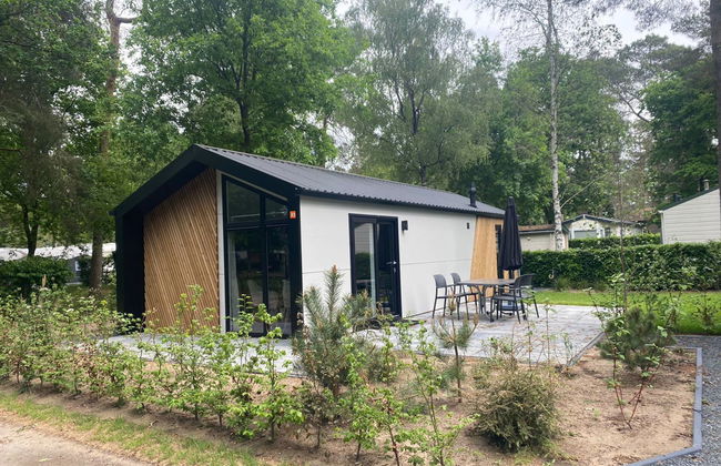 Casa de 3 quartos em Otterlo com piscina e terraço - Foto 10