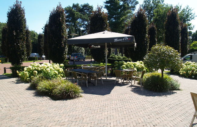 Casa de 3 quartos em Lochem com piscina e terraço - Foto 11