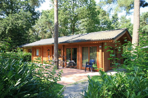 Foto 9 - Casa de 3 habitaciones en Lochem con piscina y terraza