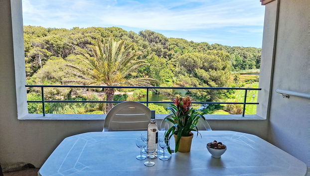 Apartamento de 3 quartos em Six-Fours-les-Plages com piscina e jardim - Foto 4