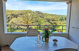 Foto 3 - Apartment mit 2 Schlafzimmern in Six-Fours-les-Plages mit schwimmbad und garten
