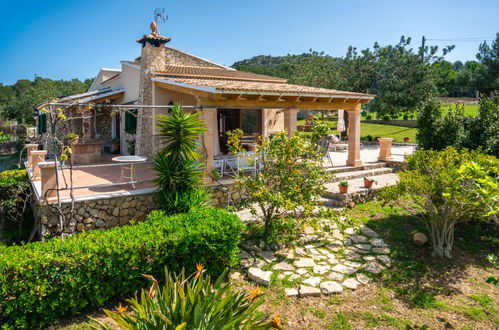 Photo 36 - Maison de 3 chambres à Alcúdia avec piscine privée et jardin